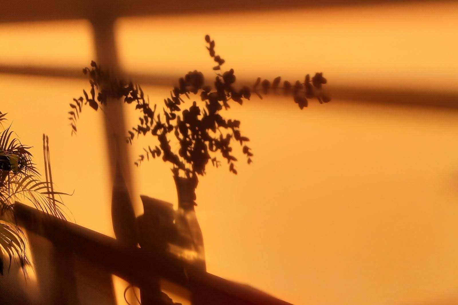 05372ae5f34895d076a9859d55970ae6488f6b9e